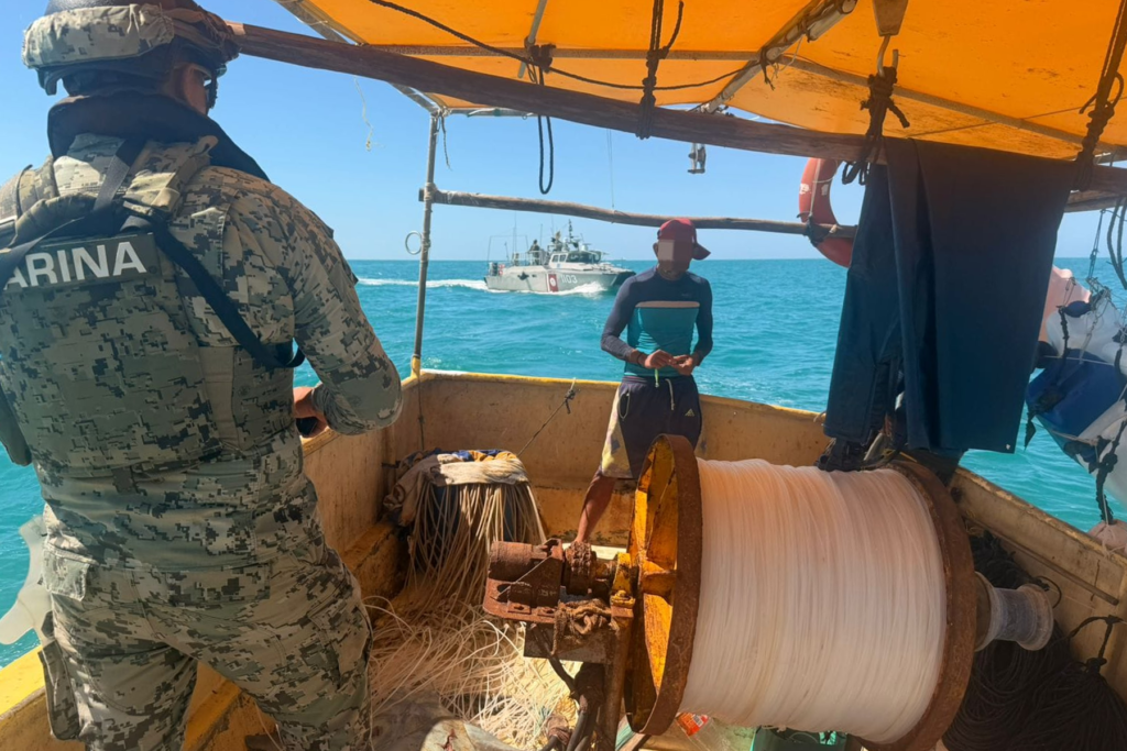 Personal de la Marina y Conapesca realizando inspección de permisos de pesca en las costas de Seybaplaya - Carxcter Campeche