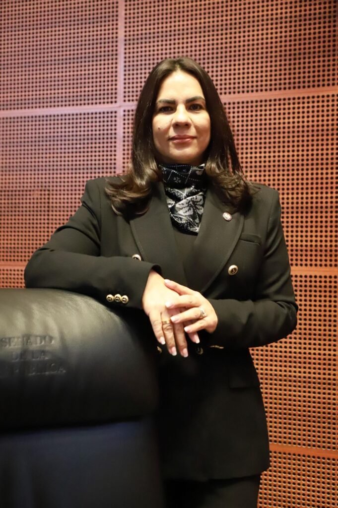 La legisladora urgió combatir Urge acabar con el pretexto de la insolvencia