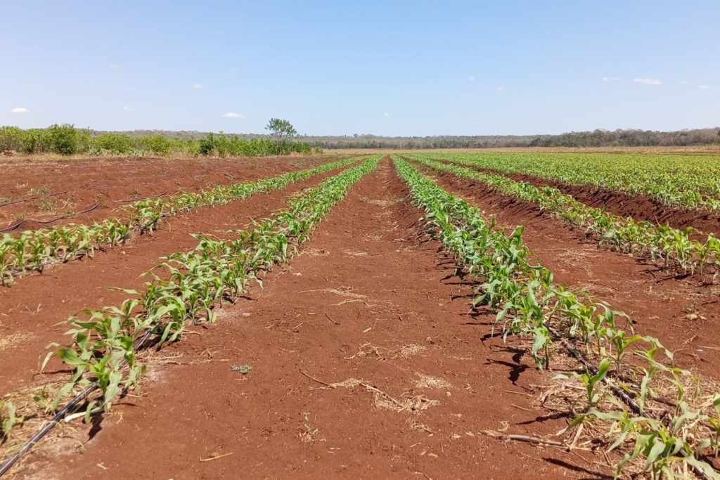 En Campeche deben regular concesión de aguas nacionales - Carxcter Campeche