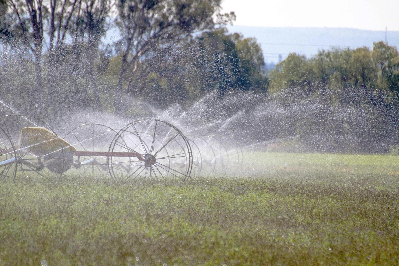 Conagua convoca a regularizar concesión de aguas nacionales en Campeche - Carxcter Campeche
