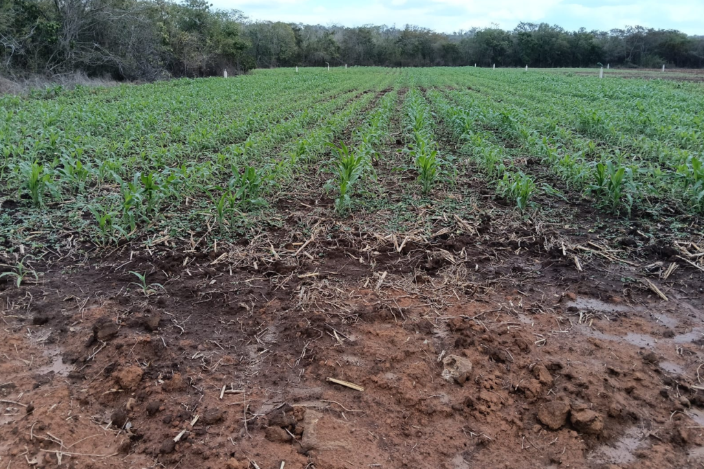 Conagua dará facilidades para renovar concesión de aguas nacionales - Carxcter Campeche