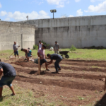 Impulsan reinserción social con huertos comunitarios en Kobén - Carxcter Campeche