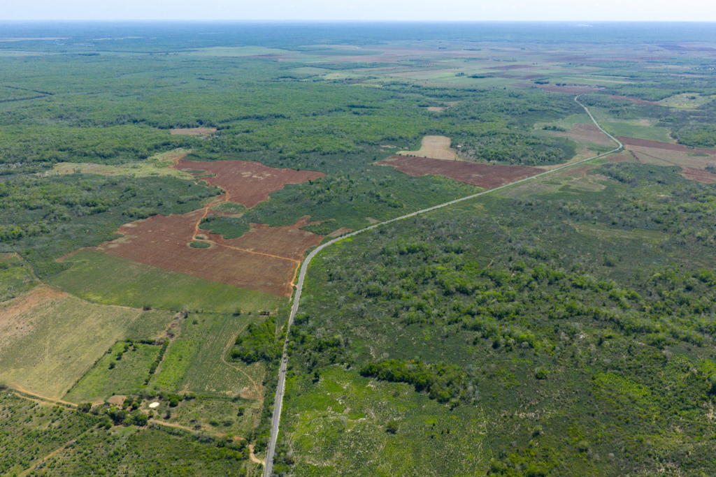 Vista de la recién reconstruida carretera Pich–Los Laureles que beneficia a la movilidad regional - Carxcter Campeche