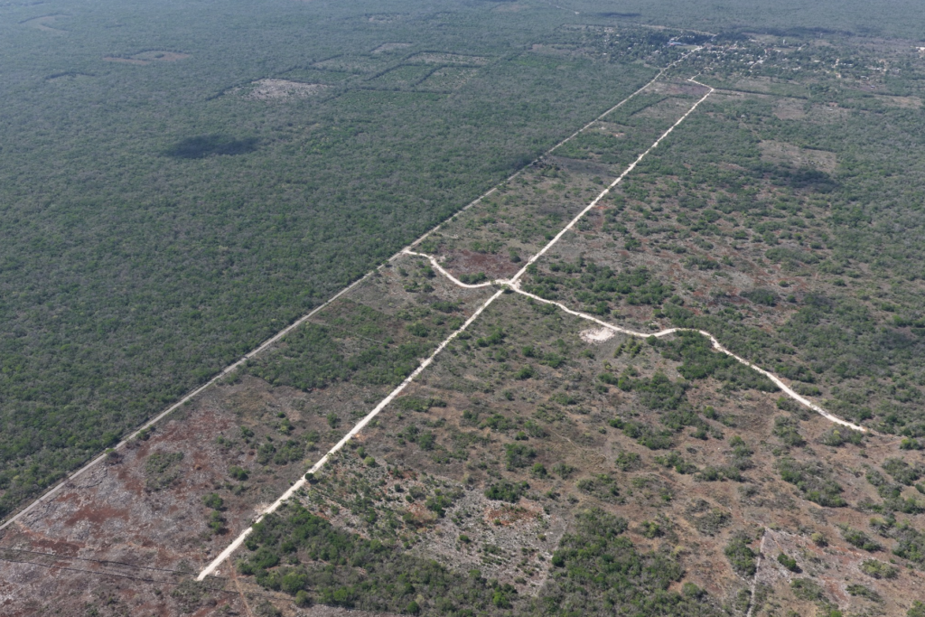 Caminos saca cosechas rehabilitados en la localidad de Pucnachén, impulsando la producción agrícola - Carxcter Campeche