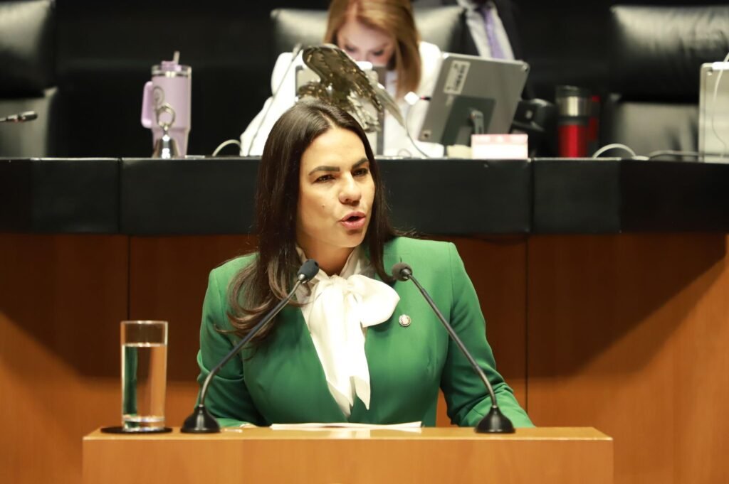 La senadora campechana exige un "Ya basta de cifras maquilladas desde el poder. Ya basta de ajustar números para construir una narrativa que no corresponde con la realidad que viven millones de mujeres en este país".