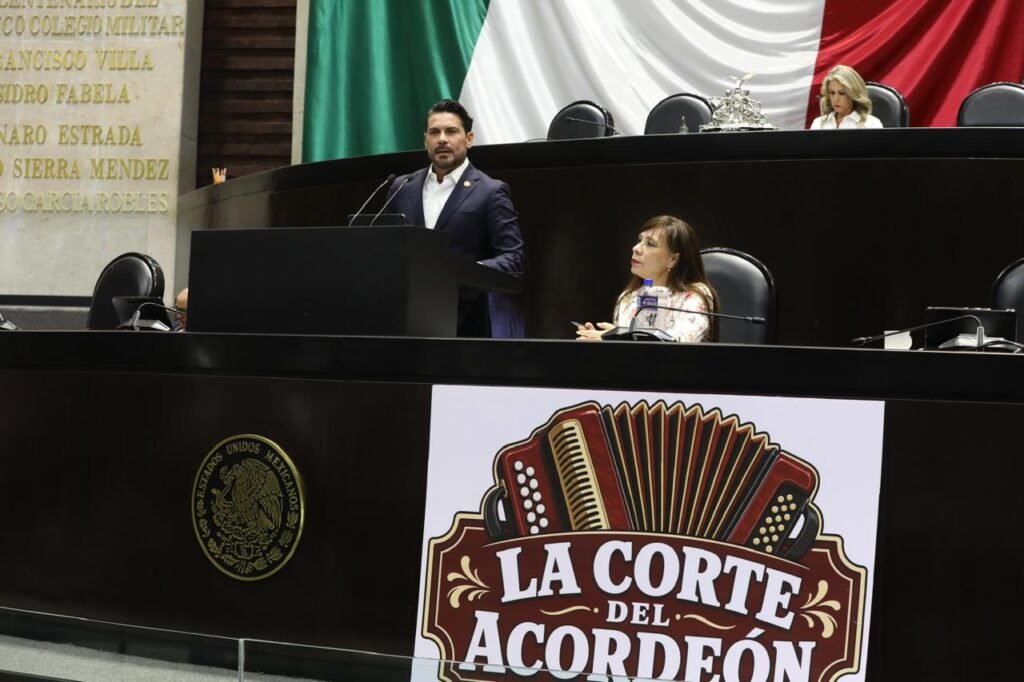El diputado federal de oposición encendió las alarmas respecto a las modificaciones legales que permitirían la anulación de elecciones bajo el supuesto de "intervención extranjera".