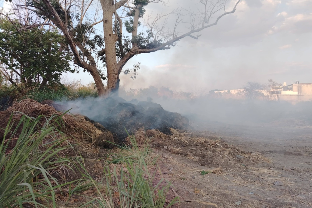 Seproci pide evitar basura que pudieran provocar incendios - Carxcter Campeche