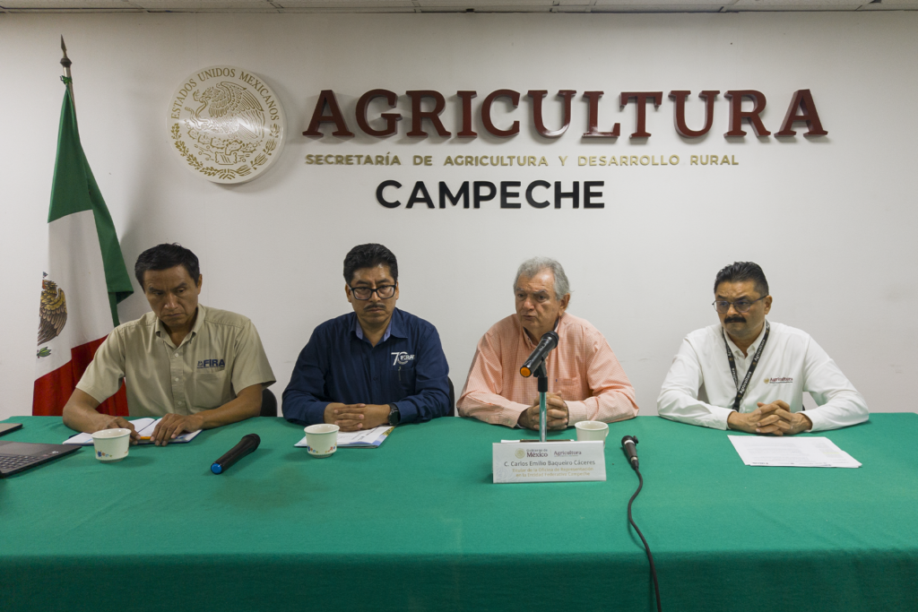 Conferencia de Prensa SADER Campeche - Carxcter Campeche