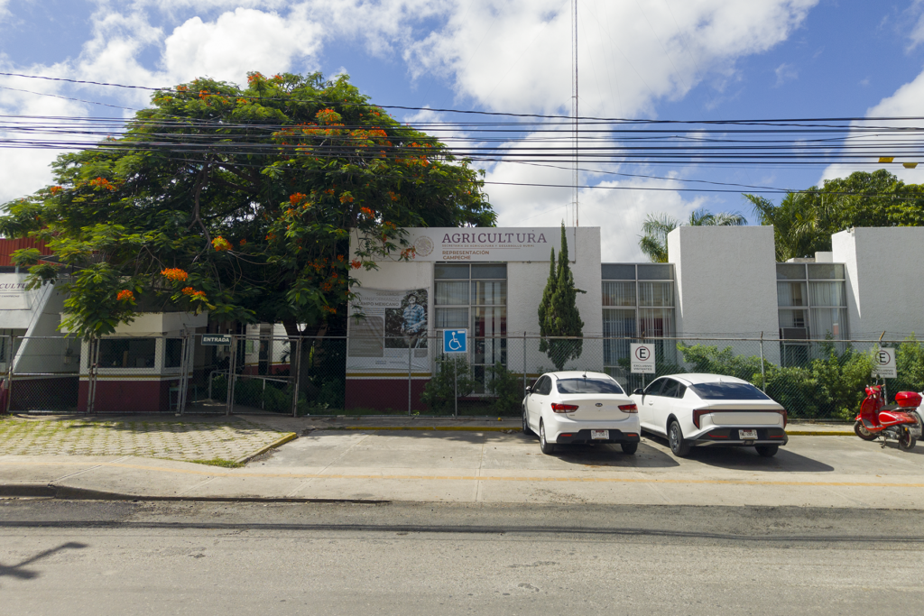 Oficinas de la SADER en Campeche - Carxcter Campeche