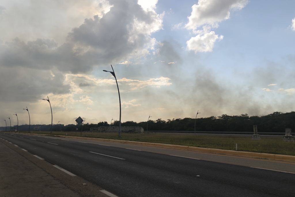 Incendio en Manglar de Campeche fue visible desde la Ciudad - Carxcter Campeche