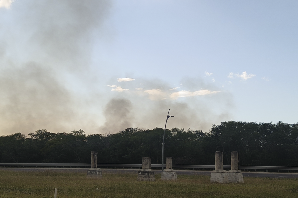 El incendio de manglar se registró a la altura del poblado de San Francisco Kobén - Carxcter Campeche