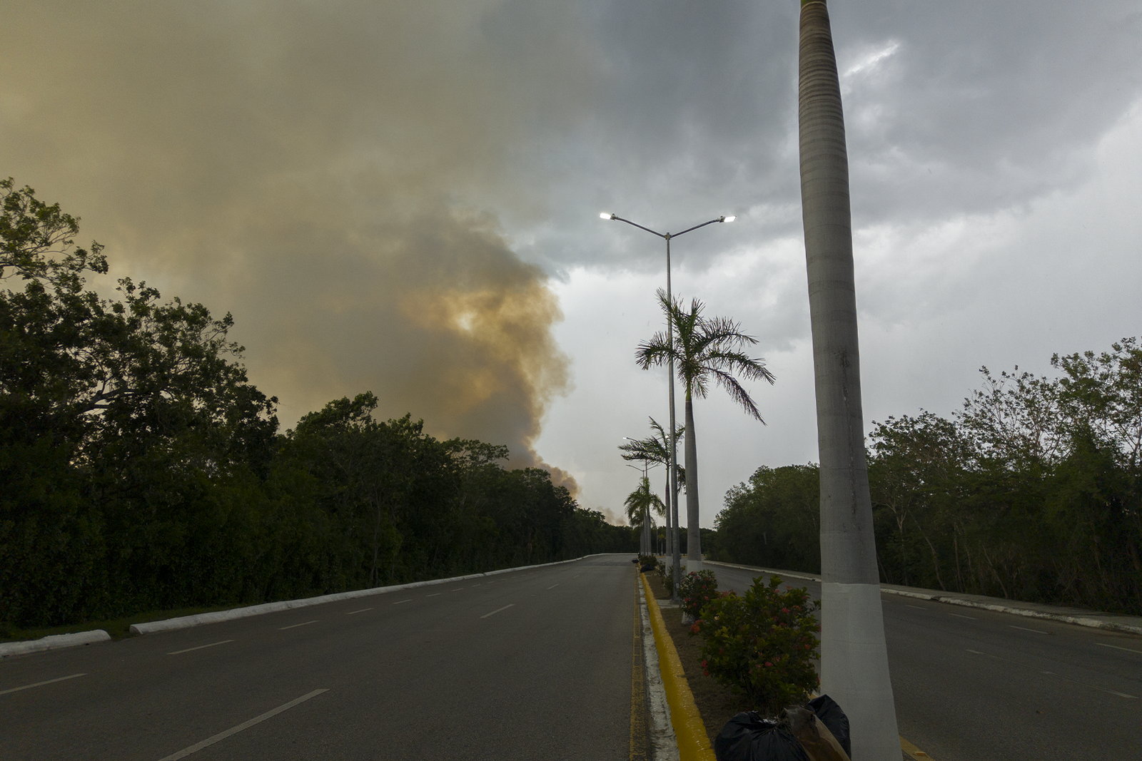 Investigaran incendio en manglar de "Los Petenes" - Carxcter Campeche